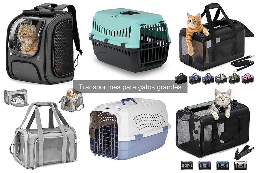 Opiniones de veterinarios sobre transportines para gatos grandes