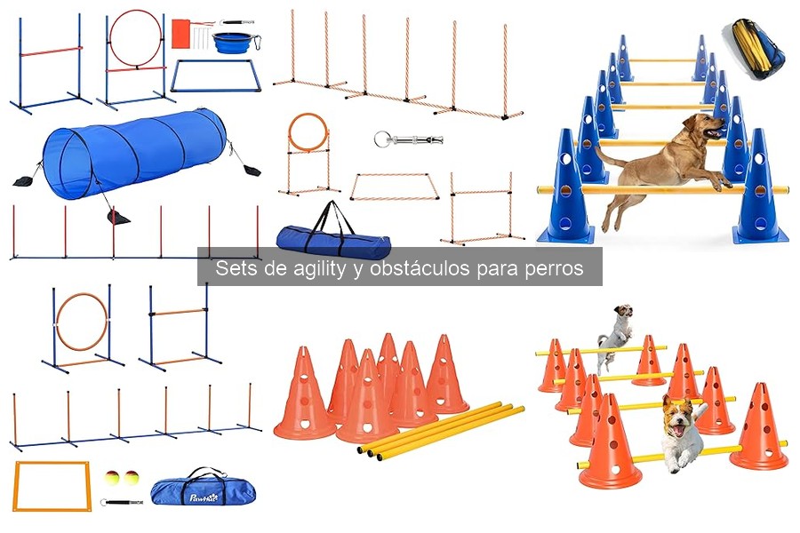 Opiniones reales sobre sets de agility para perros