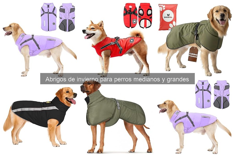 Opiniones sobre abrigos de invierno para perros medianos y grandes