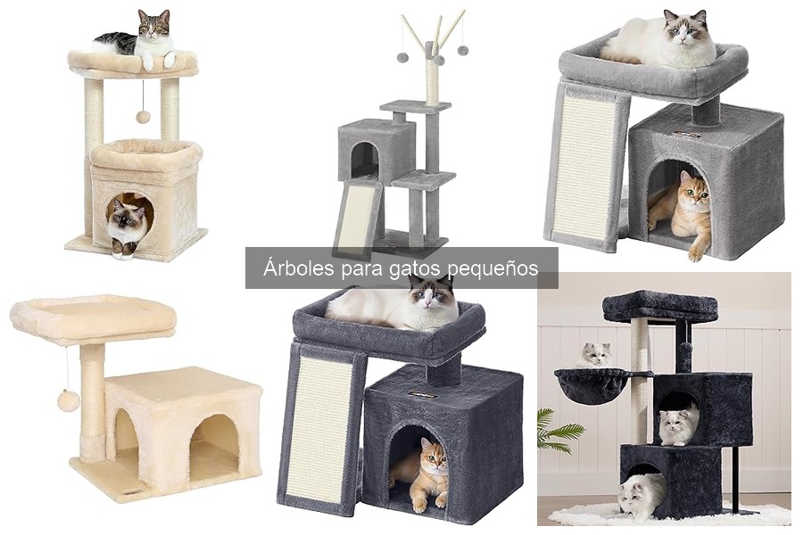 Opiniones sobre árboles para gatos pequeños: testimonios reales