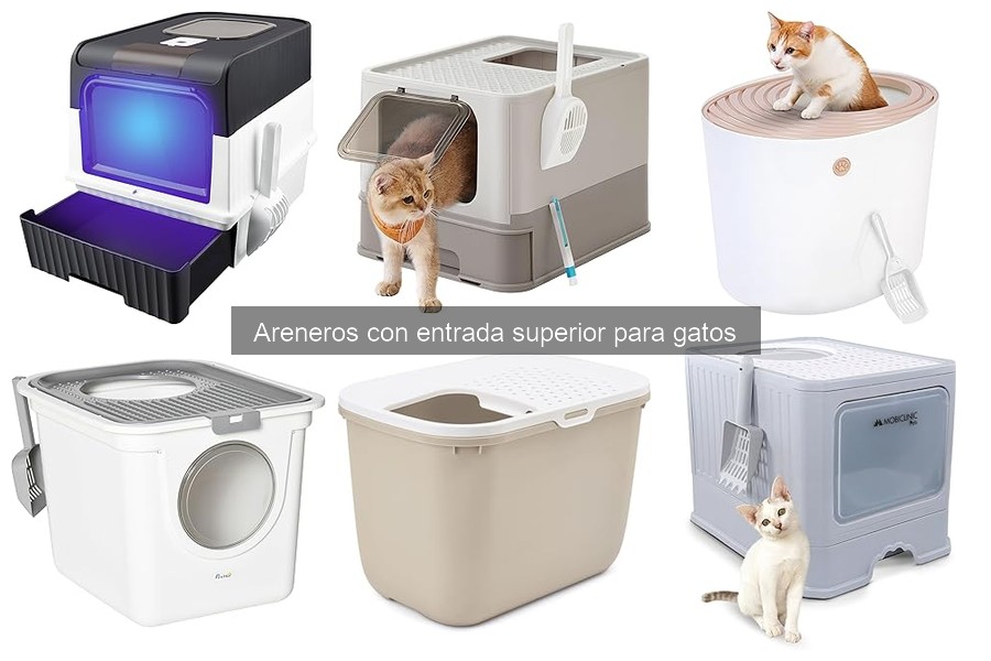 Opiniones sobre areneros con entrada superior para gatos