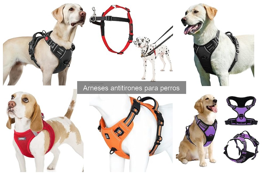 Opiniones sobre arneses antitirones para perros: Reseñas reales