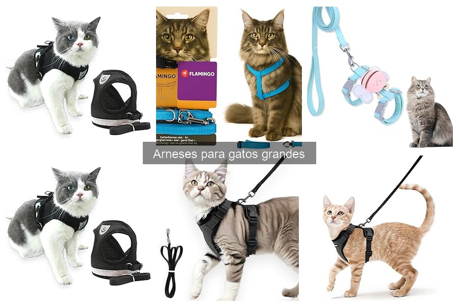Opiniones sobre arneses para gatos grandes: Reseñas y experiencias