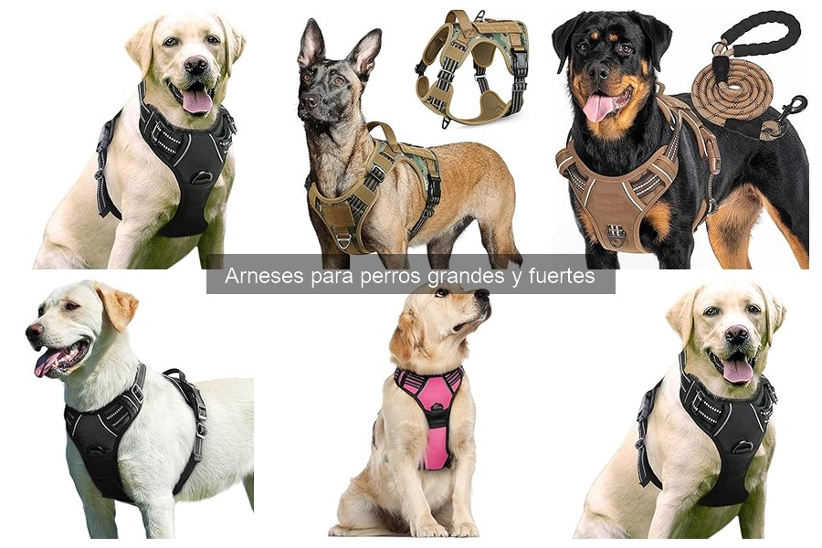 Opiniones sobre arneses para perros grandes y fuertes
