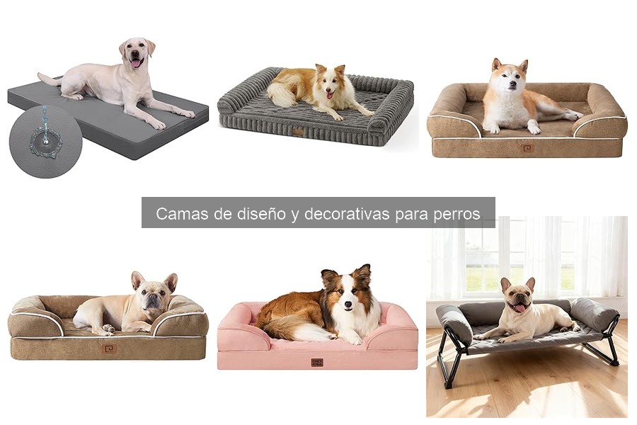 Opiniones sobre camas de diseño para perros: análisis y reseñas