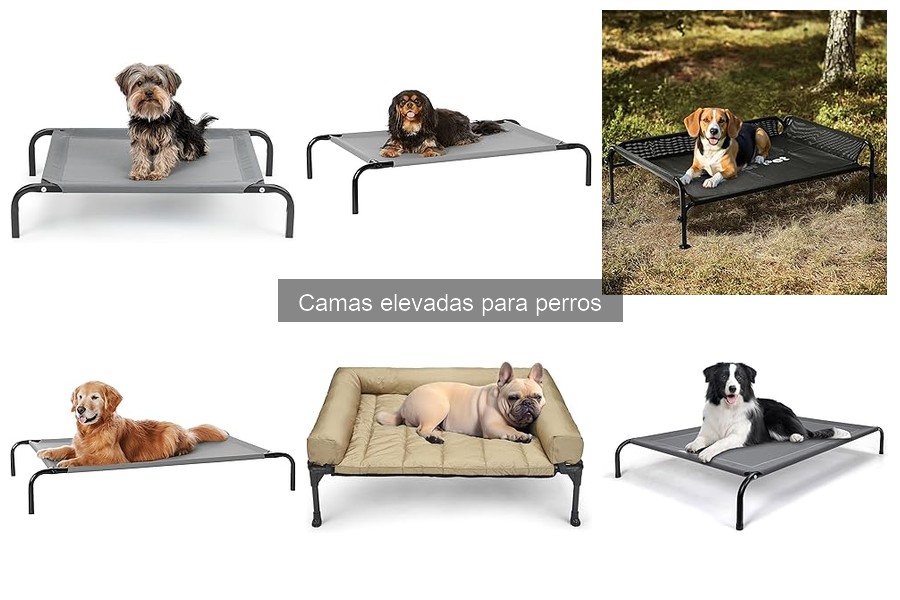 Opiniones sobre camas elevadas para perros: Reseñas reales