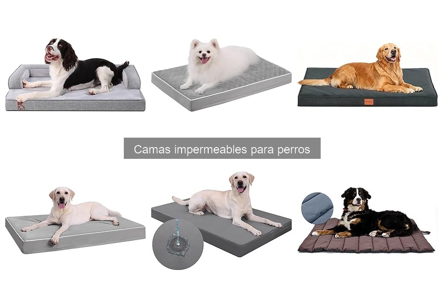 Opiniones sobre camas impermeables para perros