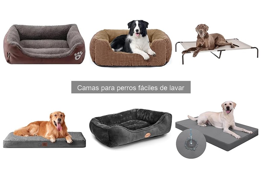 Opiniones sobre camas para perros fáciles de lavar