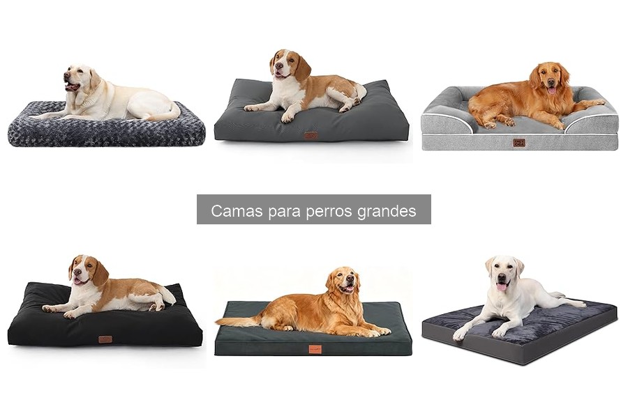 Opiniones sobre camas para perros grandes: ¡Descubre las mejores!