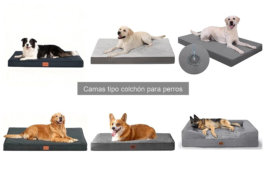 Opiniones sobre camas tipo colchón para perros