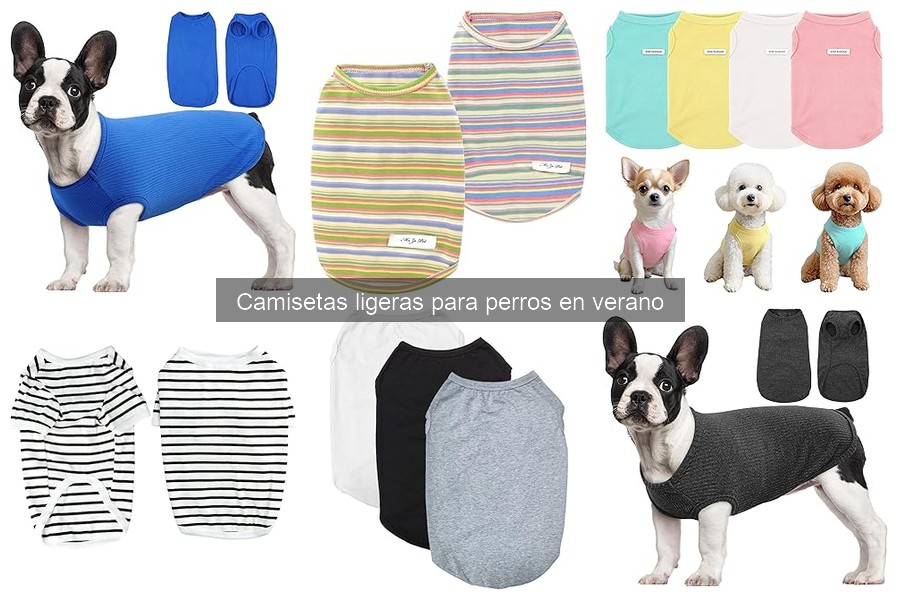Opiniones sobre camisetas ligeras para perros en verano