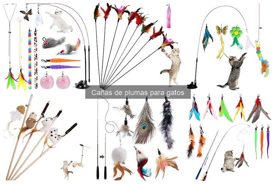 Opiniones sobre cañas de plumas para gatos: mejores opciones