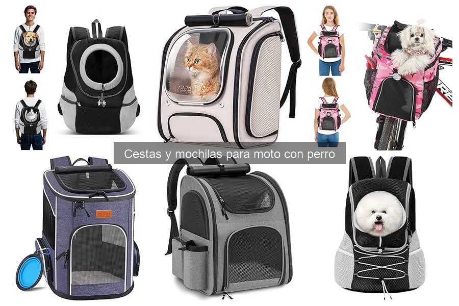 Opiniones sobre cestas y mochilas para moto con perro