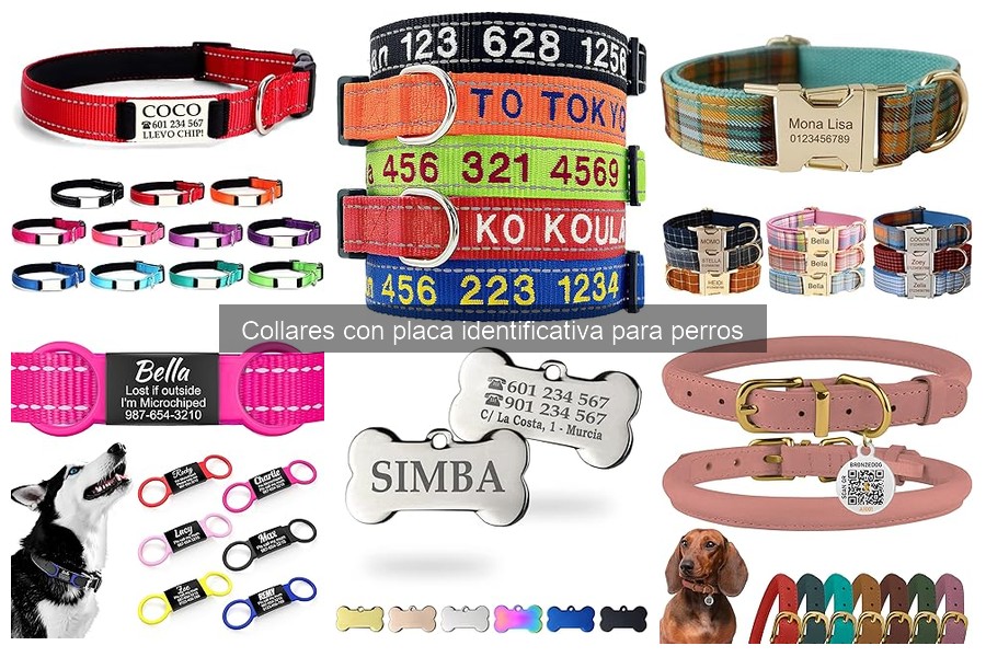 Opiniones sobre collares con placa identificativa para perros