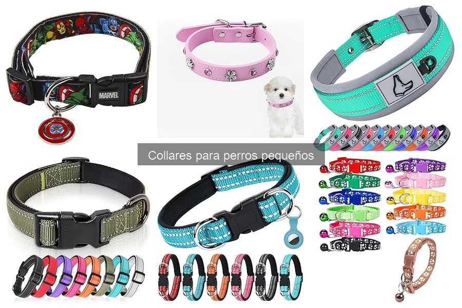 Opiniones sobre collares de seguridad para perros pequeños