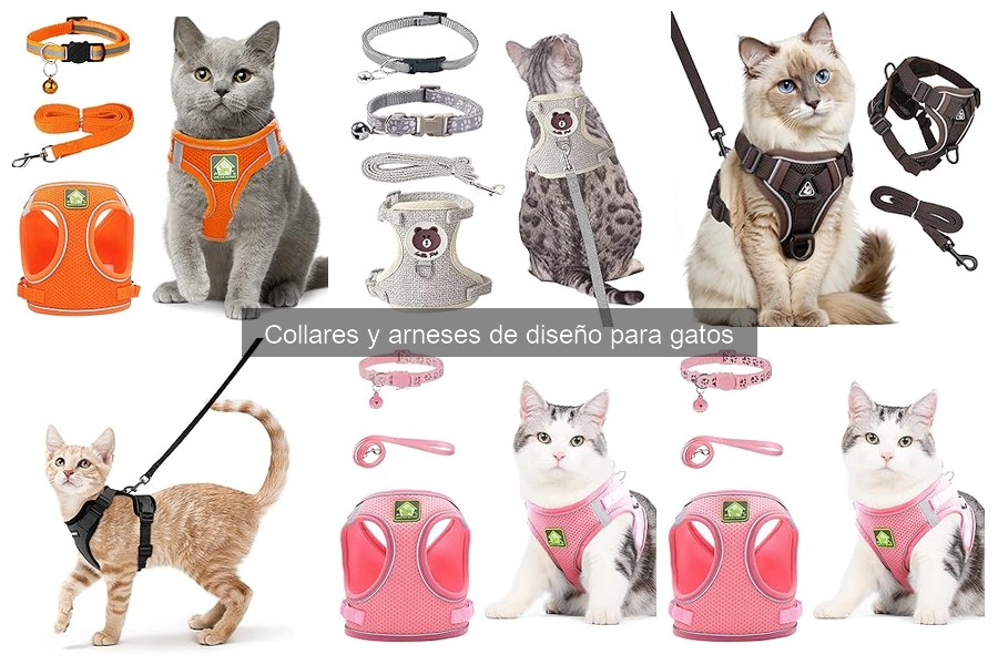 Opiniones sobre collares y arneses de diseño para gatos