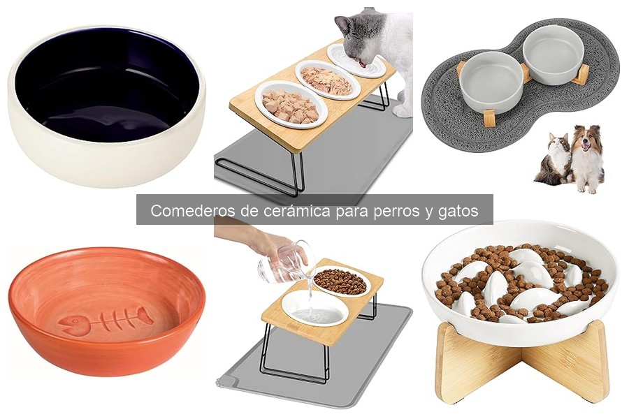 Opiniones sobre Comederos de Cerámica para Perros y Gatos