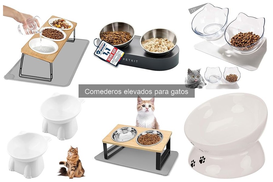 Opiniones sobre comederos elevados para gatos: Reseñas reales