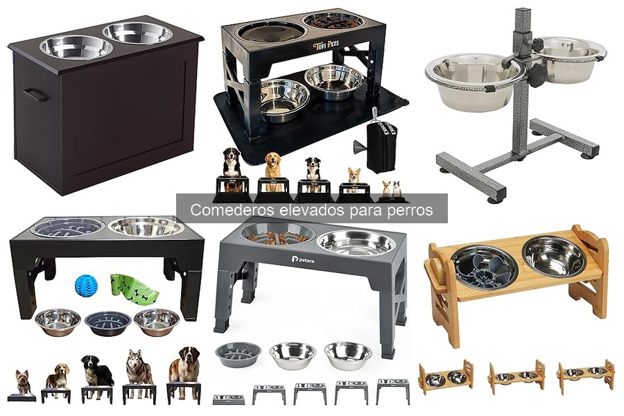 Opiniones sobre comederos elevados para perros: ¿Valen la pena?