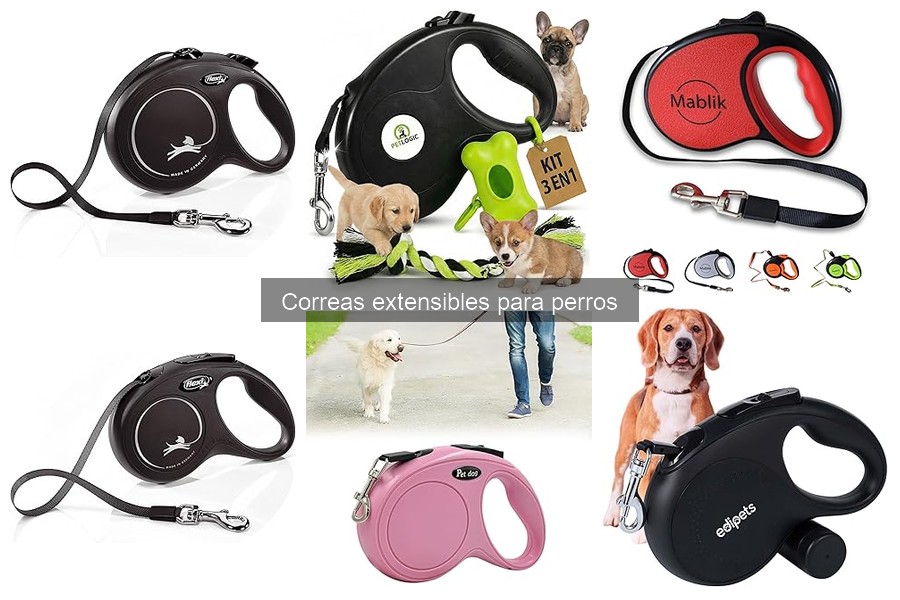 Opiniones sobre correas extensibles para perros: experiencias reales