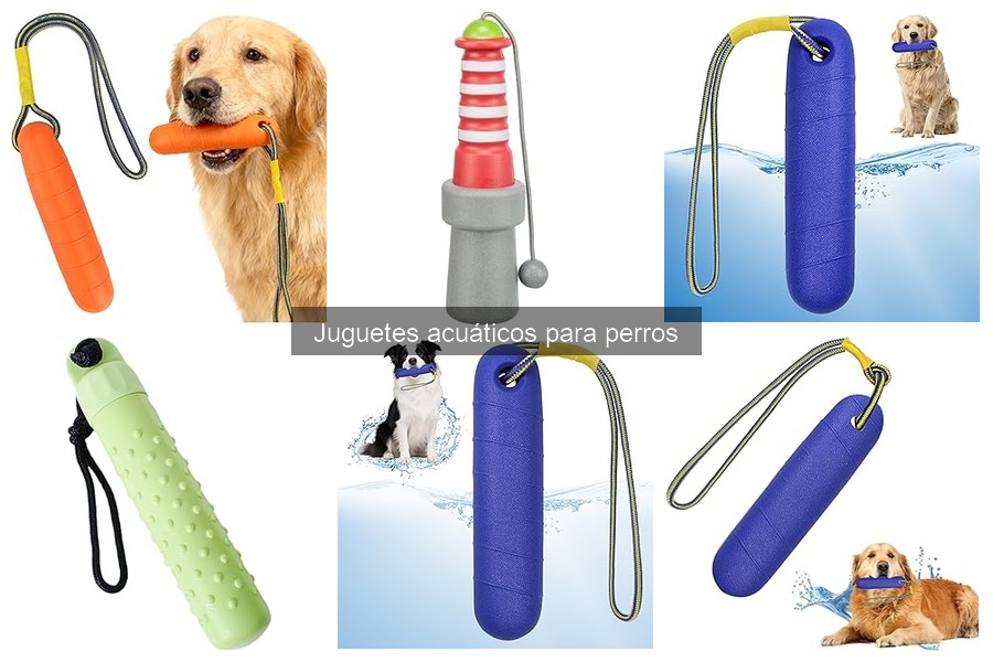 Opiniones sobre juguetes acuáticos populares para perros