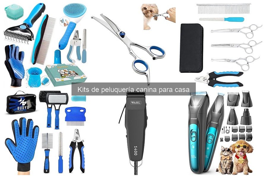 Opiniones sobre Kits de Peluquería Canina para Casa