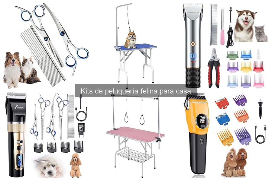 Opiniones sobre kits de peluquería felina para casa