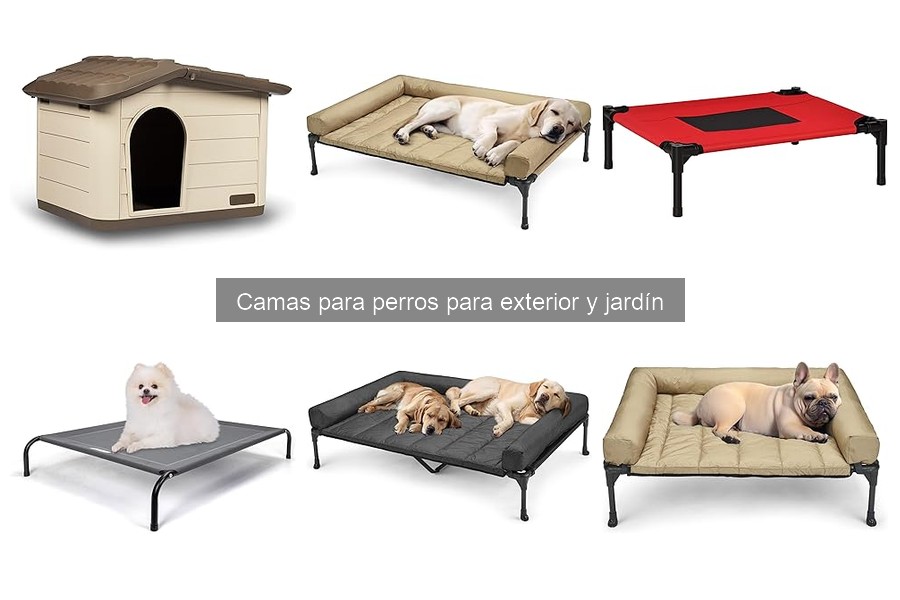 Opiniones sobre las mejores camas para perros de exterior