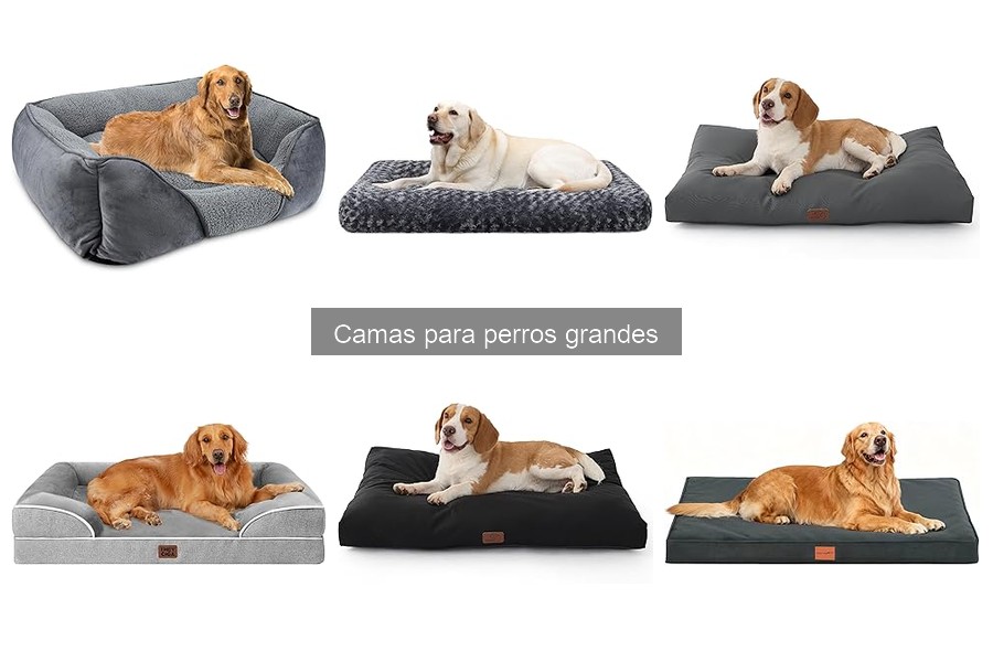 Opiniones sobre las mejores camas para perros grandes