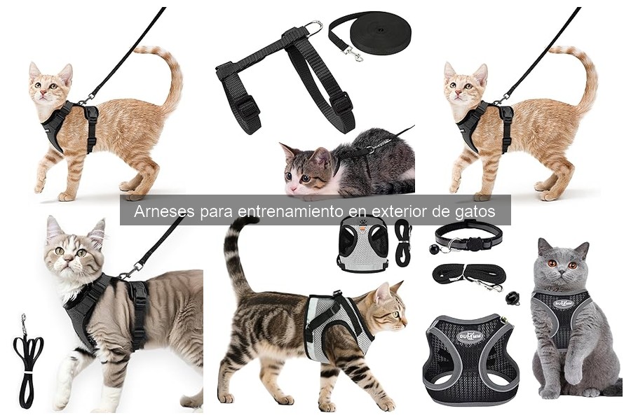 Opiniones sobre los mejores arneses para gatos 2023
