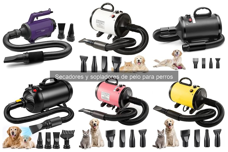 Opiniones sobre los mejores secadores de pelo para perros
