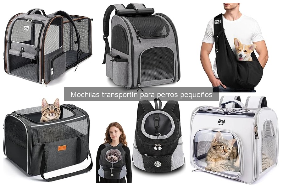 Opiniones sobre mochilas transportín para perros pequeños