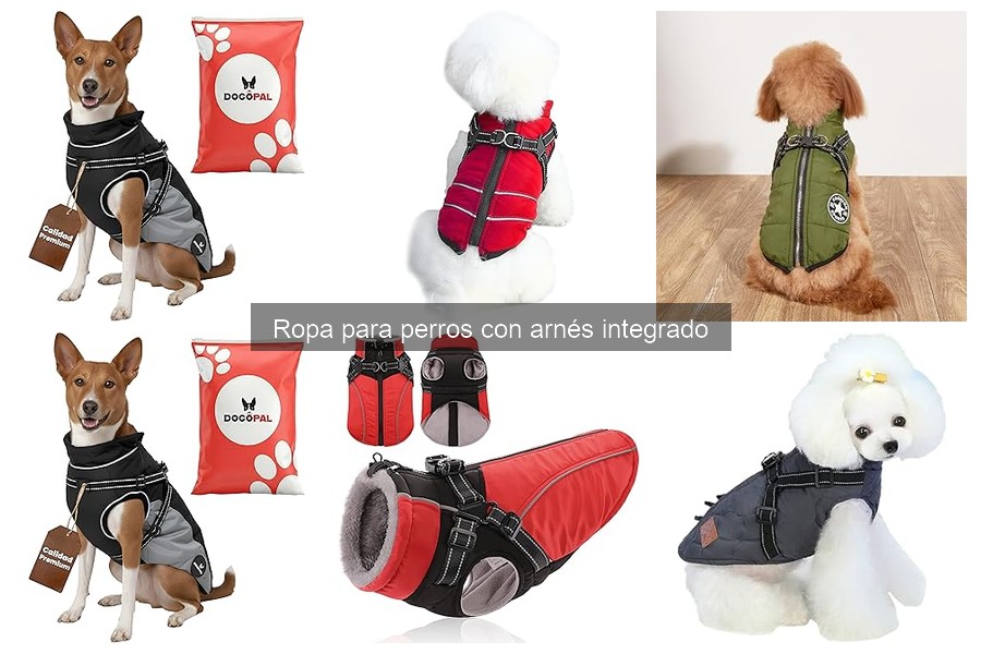 Opiniones sobre ropa para perros con arnés integrado