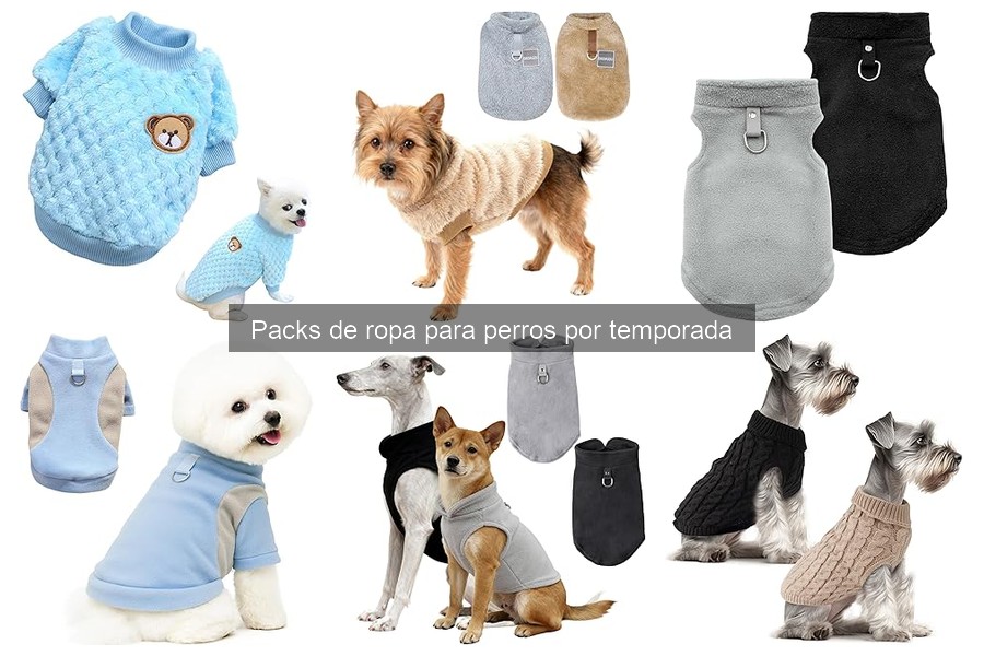 Opiniones sobre ropa para perros: ¡descubre lo que dicen!