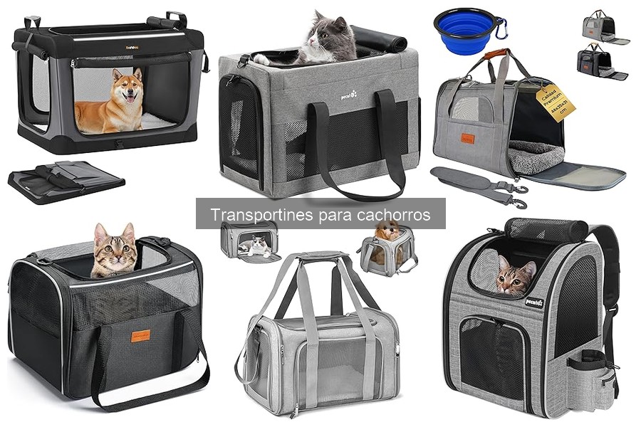 Opiniones sobre transportines para cachorros: marcas destacadas