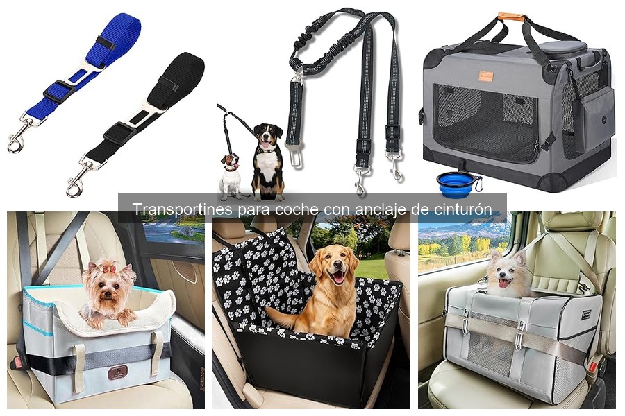 Opiniones sobre Transportines para Coche con Anclaje de Cinturón