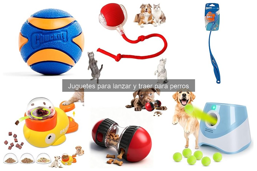 Peligros de Usar Juguetes Incorrectos para Lanzar y Traer Perros