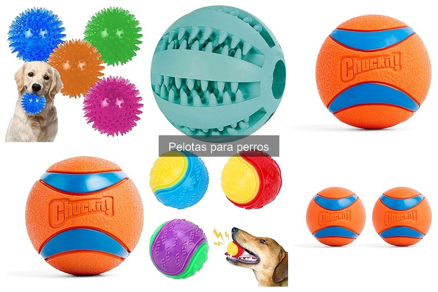 Pelotas interactivas para perros: ¿qué son y cómo funcionan?