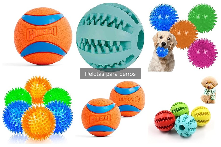 Pelotas para perros que reducen la ansiedad: guía útil