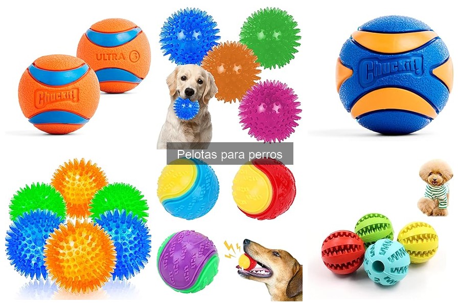 Pelotas para perros seguras para jugar en casa y exteriores