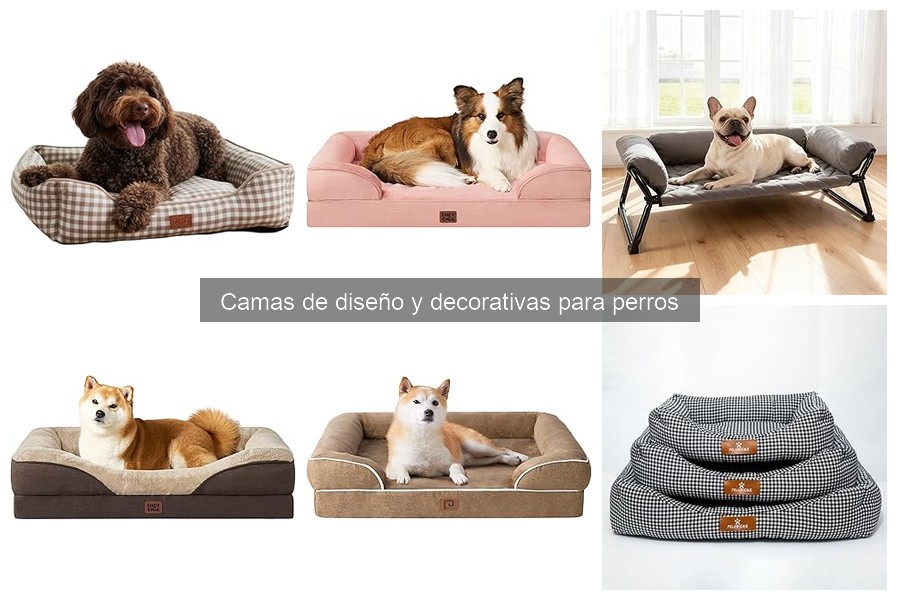 Personaliza la cama de diseño de tu perro con estas ideas