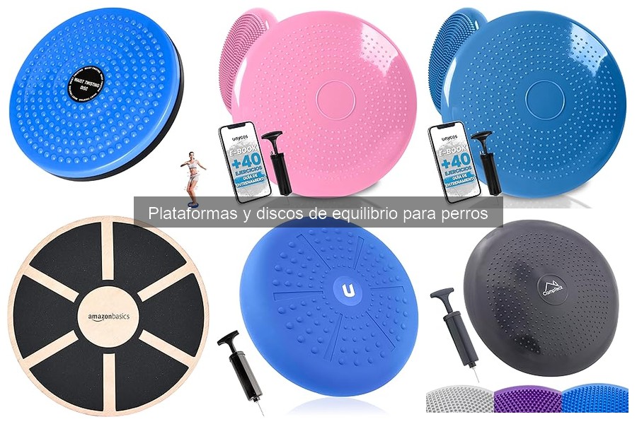Plataformas y Discos de Equilibrio para Perros: Beneficios y Más