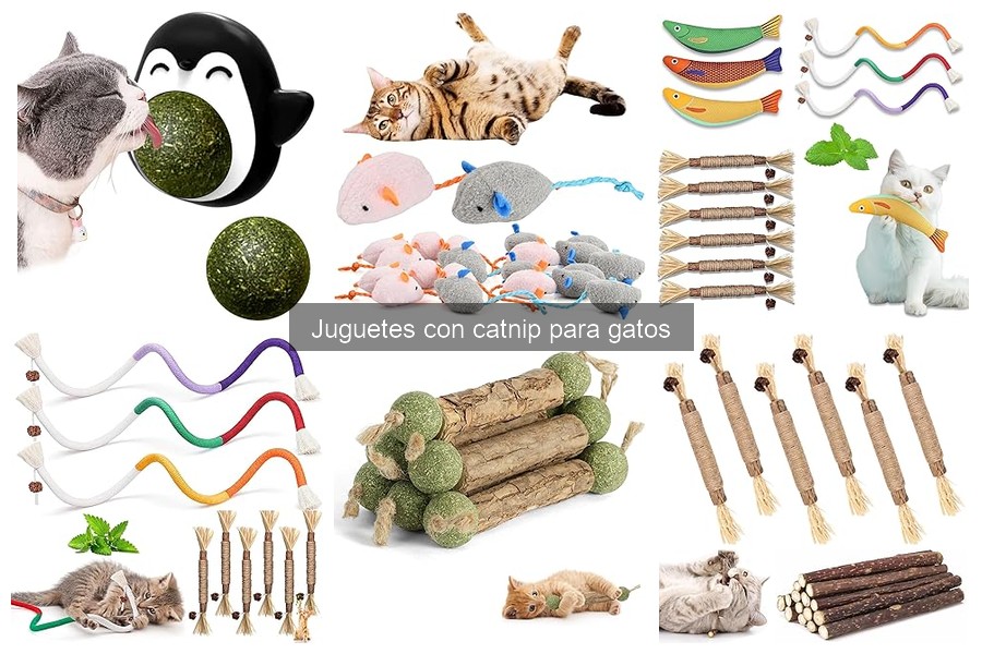 ¿Por qué mi gato no juega con juguetes de catnip? Soluciones