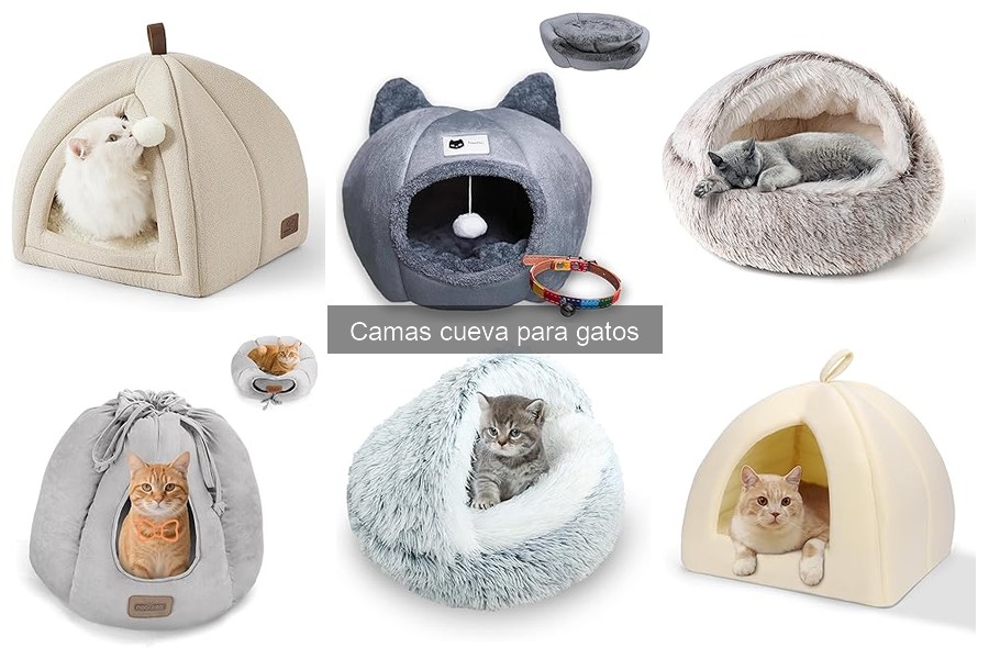 ¿Por qué mi gato no usa la cama cueva? Soluciones efectivas