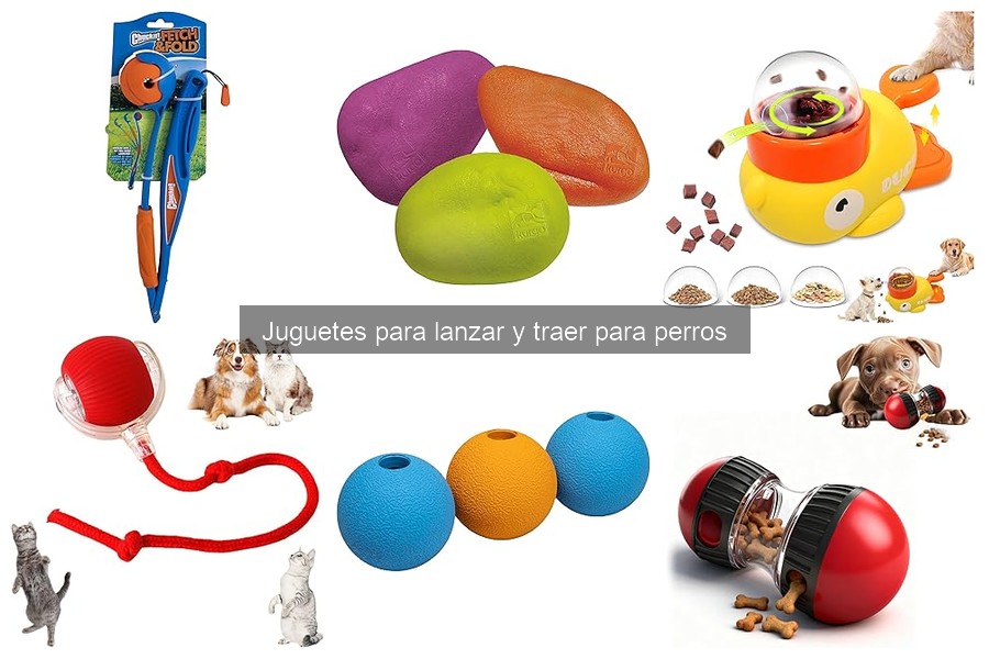 ¿Por qué mi perro no quiere jugar con su juguete?