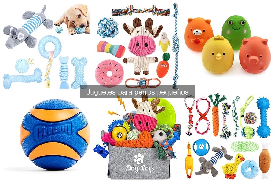 ¿Por qué mi perro pequeño no juega con sus juguetes?