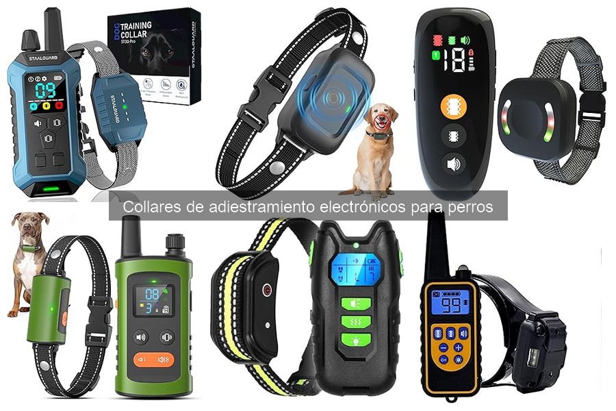 Precio de collares de adiestramiento electrónicos para perros