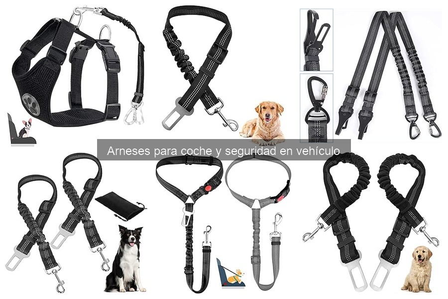 Precio promedio de arneses de coche para perros