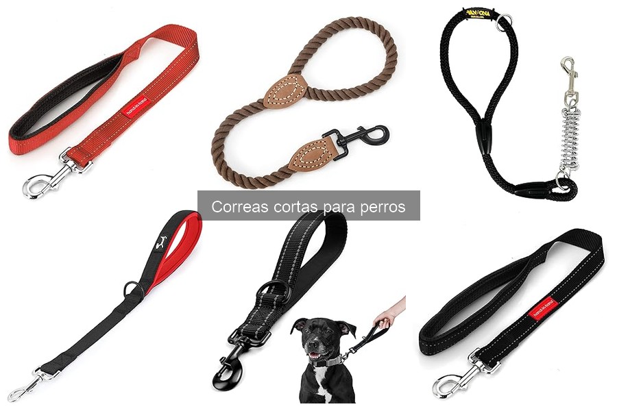 Precio promedio de correas cortas para perros