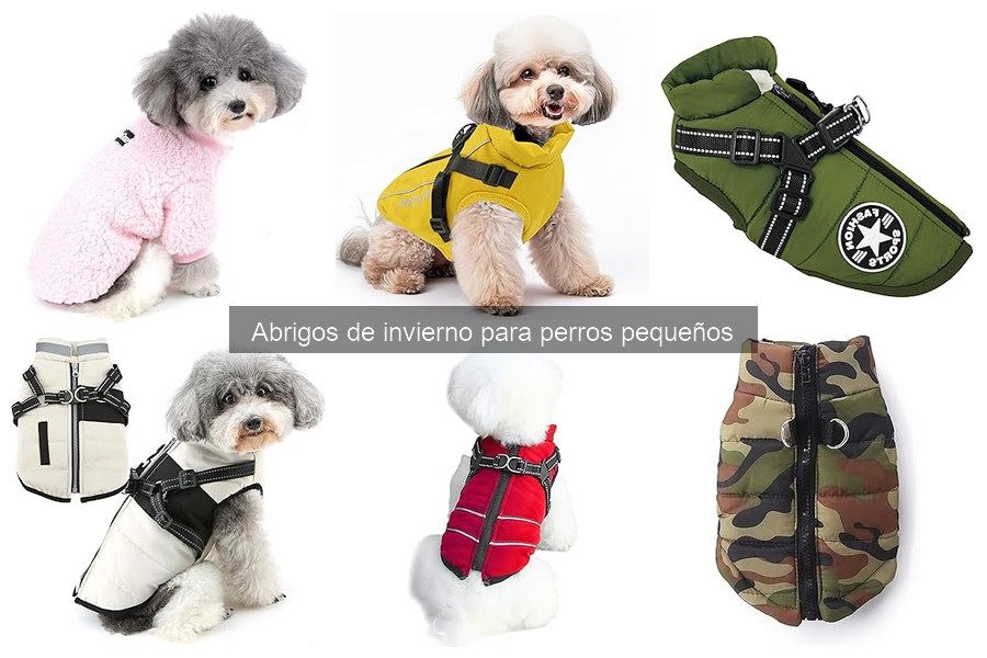 Precios de abrigos de invierno para perros pequeños